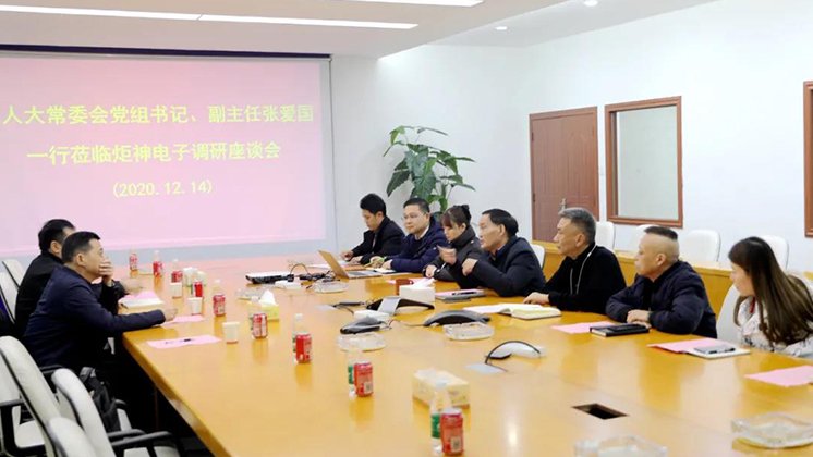 郴州市人大常委會黨組書記、副主任張愛國到炬神電子調研安全生產工作